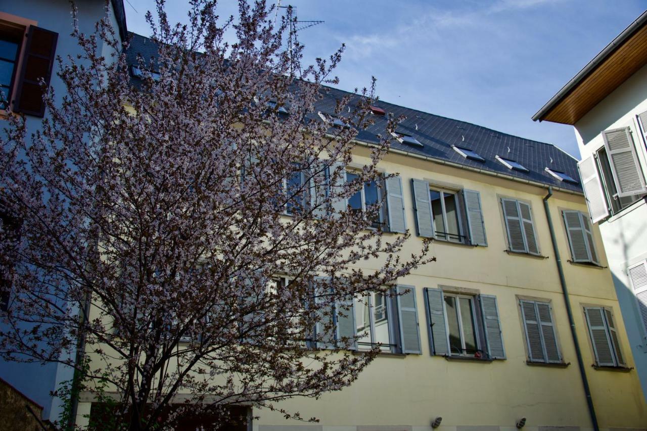 Appartement 3 Pieces, Krutenau, Parking Prive Estrasburgo Exterior foto