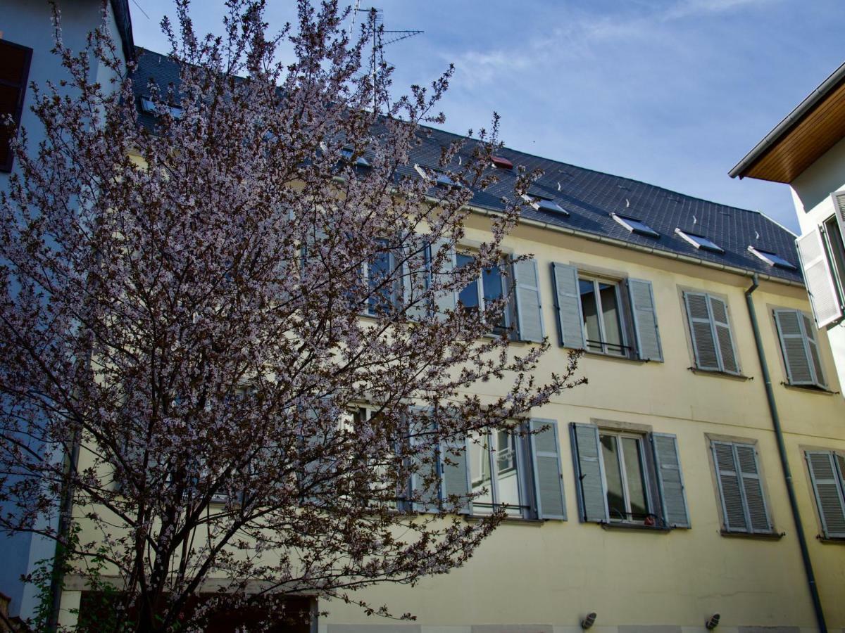 Appartement 3 Pieces, Krutenau, Parking Prive Estrasburgo Exterior foto